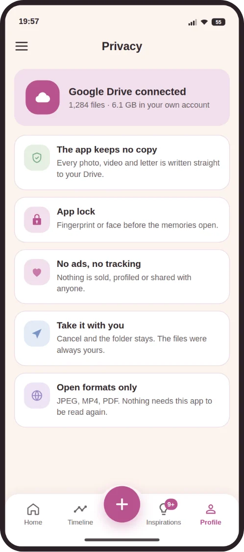 Tela de privacidade mostrando o Google Drive conectado