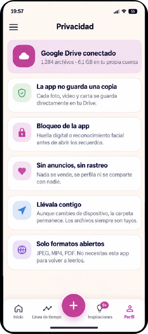 Pantalla de privacidad con Google Drive conectado
