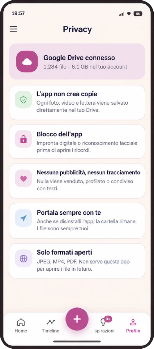 Schermata della privacy con Google Drive collegato