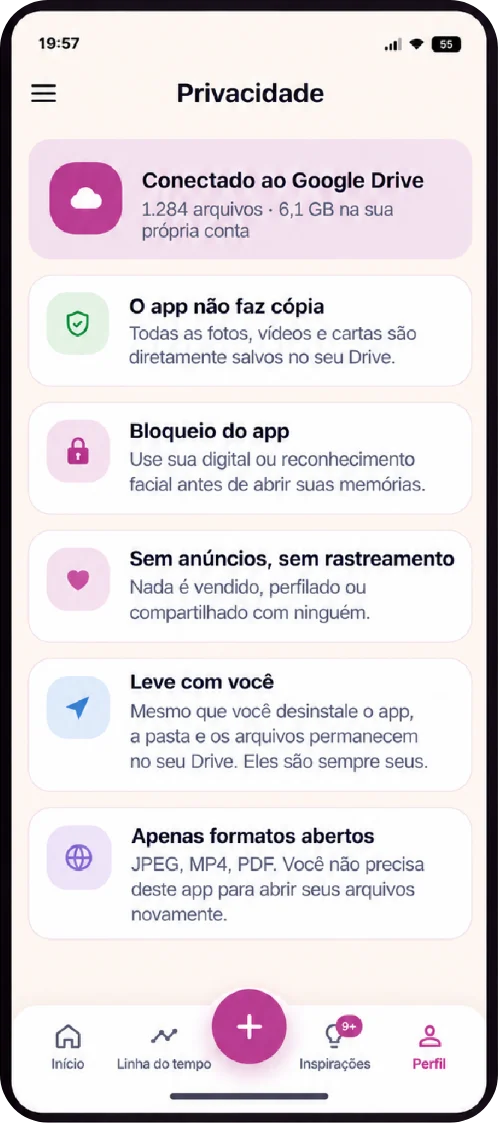 Tela de privacidade com o Google Drive conectado
